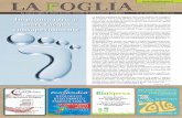 La Foglia News Dicembre 2011