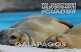 Edición Nª11 - Galápagos