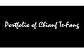 The Portfolio of Chiang Te Fang