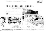 Fenícios no Brasil - Antiga História do Brasil -de 1100 aC a 1500 dC - parte 1