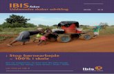 IBIS Fokus 116