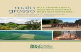 Matogrosso portuguese report online final (3)