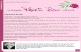 Jornal Pimenta Rosa - Novembro 2012