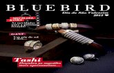 Bluebird - Dia de São Valentim 2013 ♥