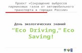 Эковождение, Eco Driving