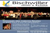 Mini's echos de Bischwiller novembre 2011