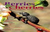 Berries & Cherries - Edición 10