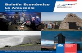 Boletin economia araucania 2013 3