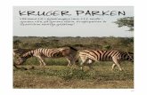 Kruger Parken