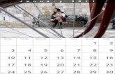 Ecovolis Calendar 2011
