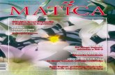 Matica 04-2006 OK