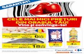 Catalog Carrefour Oradea