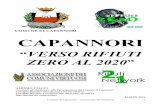 RESOCONTO INCONTRO CAPANNORI 07052011