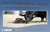 MayWay Farms and Woodbury Farms - 2nd Annual Bull and Female Sale