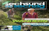 Sechsundsechzig Lingen | Ausgabe April 2013