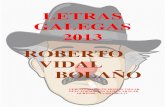 LETRAS GALEGAS 2013-ROBERTO VIDAL BOLAÃ‘O