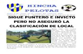 Hincha Pelota 4