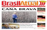 Jornal Brasil Atual - Bebedouro 08