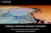 Plan Parque Bosque Curanipe