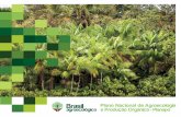 Brasil Agroecológico
