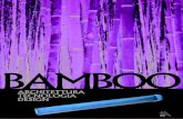Bamboo  - Collettivo cerretini
