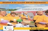 Stafet For Livet 2014 Horsens program