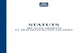 Statuts IRP AUTO ARTISANS ET TNS, CDR445P