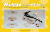 Messut & somistus 1/2013