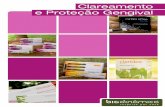 Folder Claridex e Biodam - Clareamento e Proteção Gengival