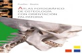 atlas fotografico de antomia