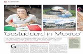 ‘Gestudeerd in Mexico’ doet het goed op je cv