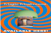 Magic Mushroom Postcard
