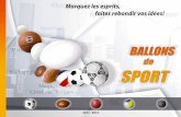 Catalogue Ballons de sport