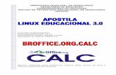 APOSTILA 2010 - BROFFICE CALC 3.1