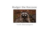 Rodger the Raccoon: Trash Shenanigans