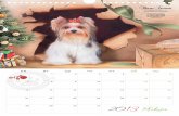 Calendar ZOO 2013