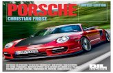 Porsche bog