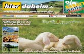 hier-daheim Regional-Magazin 04-11