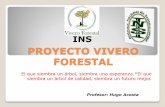 Proyecto vivero forestal