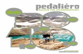 pedaliero No 27 Collectors Issue 2010