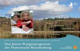 Das Junior Rangerprogramm der Naturwacht Brandenburg