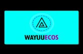 Wayuu Ecos
