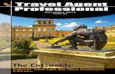 Travel Agent Professional  Nov 2013