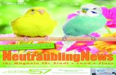 NeutraublingNews März 2012