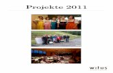 witus Projekte 2011