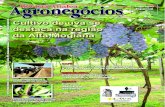 Edição 06 - Revista de Agronegócios - Novembro/2006