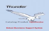 Thunder Product Catalog_ QInfinite_2012