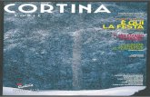 Cortina Topic