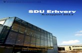 SDU Erhverv Årsrapport 2013