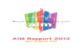 Aim rapport 2013